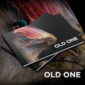 OLD ONE - Dinosaur book