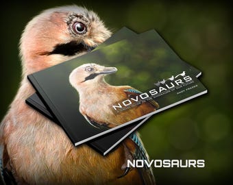 NOVOSAURS Buch
