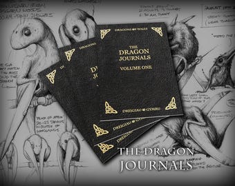 The Dragon Journals (Volume One)