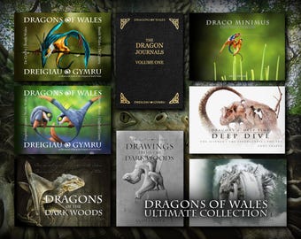 David Park by Richard Armstrong - Etsy