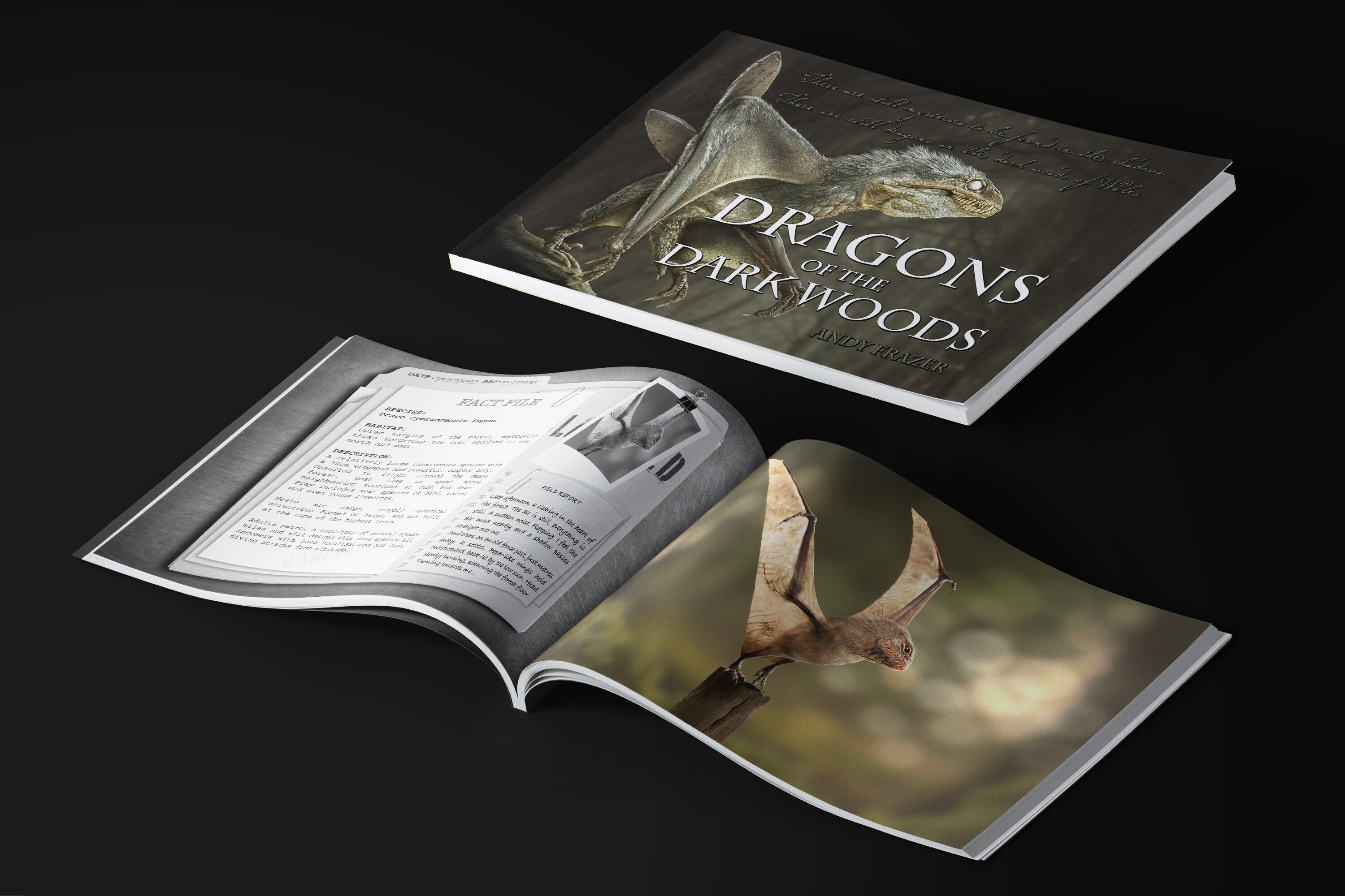 Dragons Of The Dark Woods Book Etsy