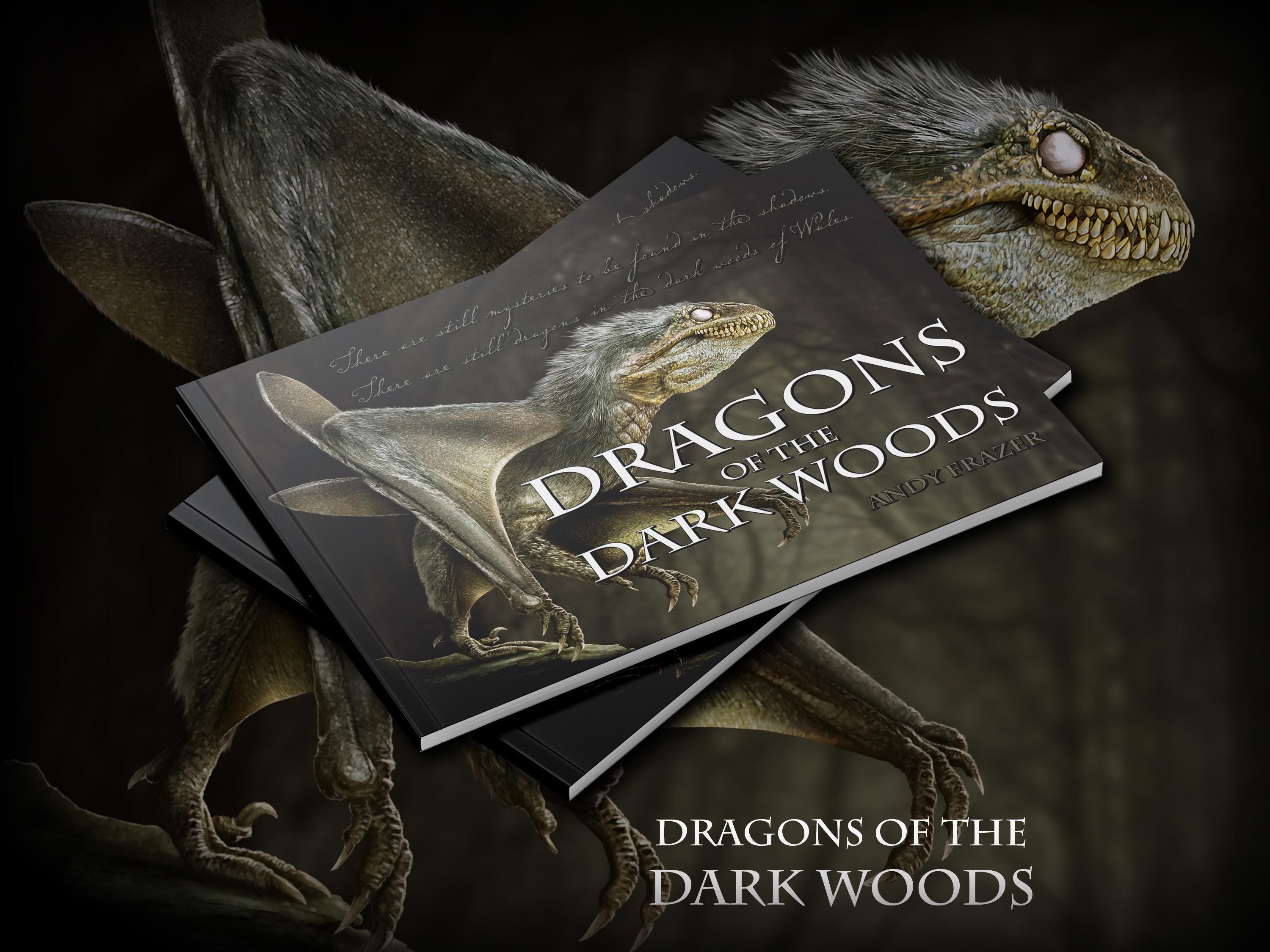 Drachen des Dunklen Waldes Buch.