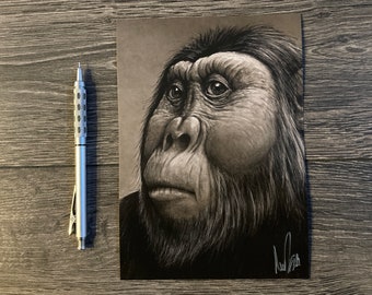 Paranthropus boisei Signed Art Print