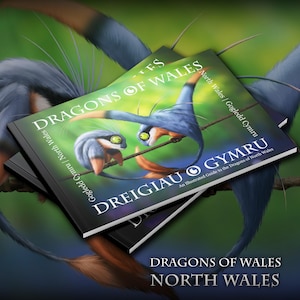 Puede incluir: Dos libros titulados "Dragons of Wales" están apilados, con ilustraciones de dragones azules y naranjas. La portada incluye el texto "Dreigiau O Gymru" y "North Wales". El fondo es un verde borroso con apéndices de tipo dragón.
