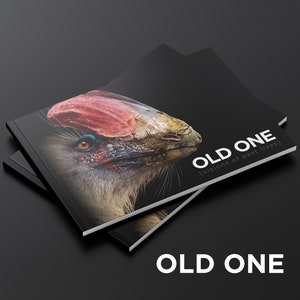 OLD ONE - Dinosaur book