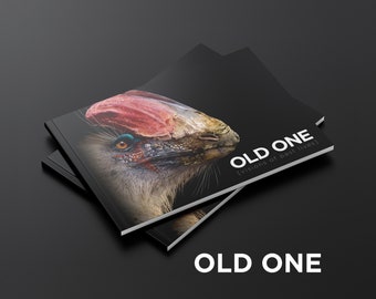 OLD ONE - Livre dinosaure