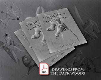 Drawings from the Dark Woods Book PDF Download