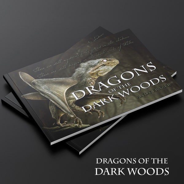 Dragons of the Dark Woods Book.