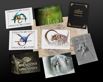 Dragons de Galles : la collection ultime