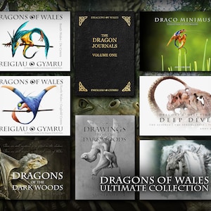 Dragons of Wales: de ultieme collectie