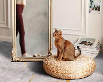 May include: A brown tabby cat sits on a woven round cushion with a grey and gold marble-look floor. The cat is looking to the left of the image. The floor has the words "Sparrow Floor" printed on it.