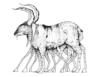 Print of a many-legged creature