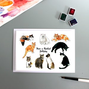 avoir une carte d'anniversaire parfaite, carte de joyeux anniversaire mélange de chat, chats sur la carte, carte de chat roux, carte de poupée de chiffon, carte de chat noir