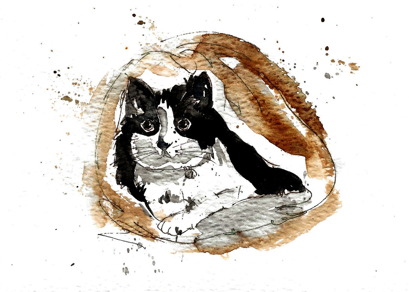 Artery8 Geburtstagskarte Mit Ragdoll-Katze & Aquarell-Design – Blanko Innen, Inkl. Umschlag, 17x12 Cm