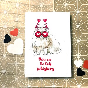 Carte persane de la Saint-Valentin, vous êtes le chat qui porte des moustaches, illustration de carte de chat duveteux blanc de la Saint-Valentin, carte de voeux de Saint-Valentin chat