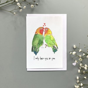 Tarjeta de periquitos de San Valentín feliz, periquitos personalizados Sólo tengo ojos para ti Tarjeta de San Valentín, periquito personalizado tarjeta de San Valentín divertida