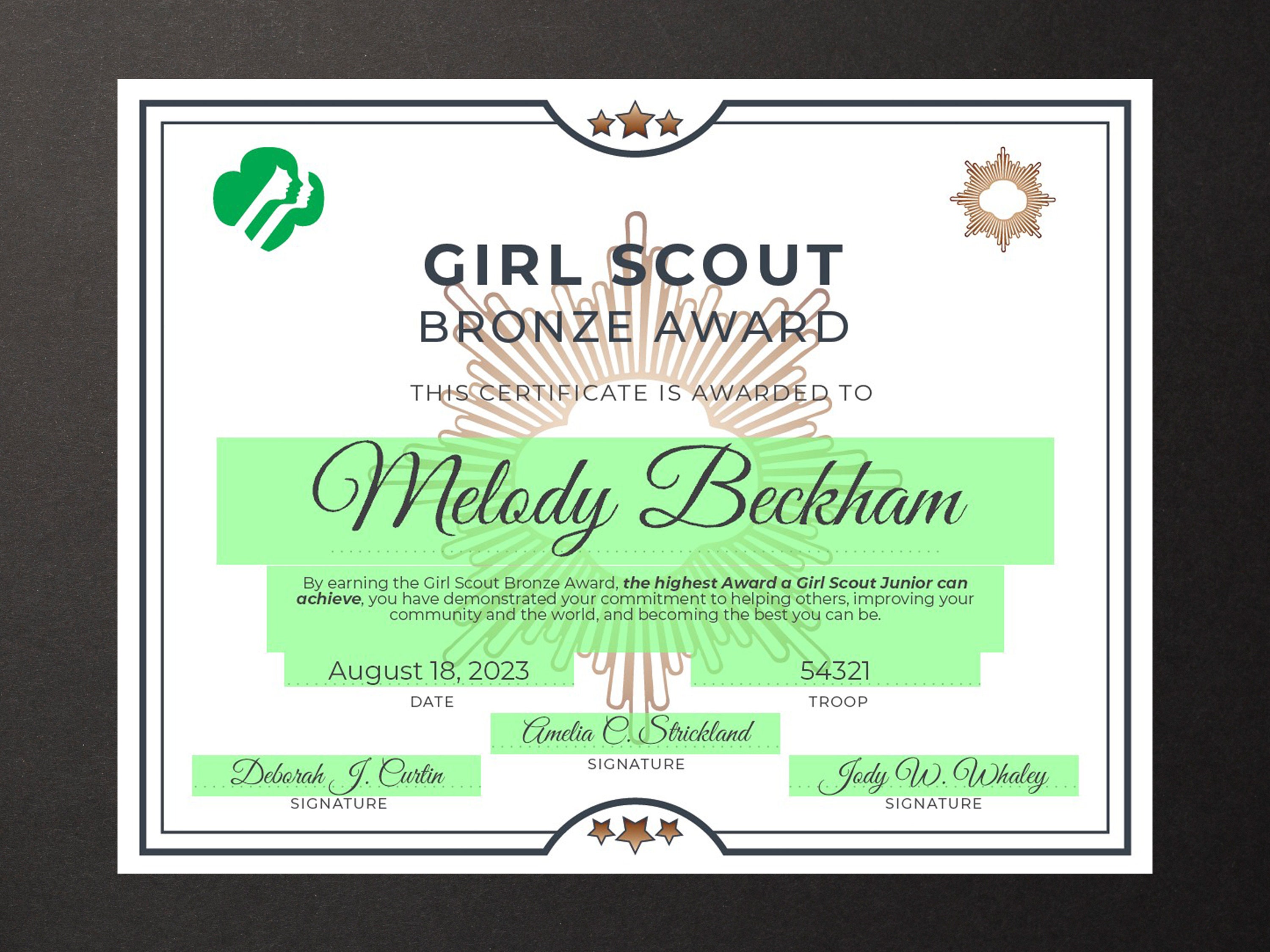 Bronze Award Examples