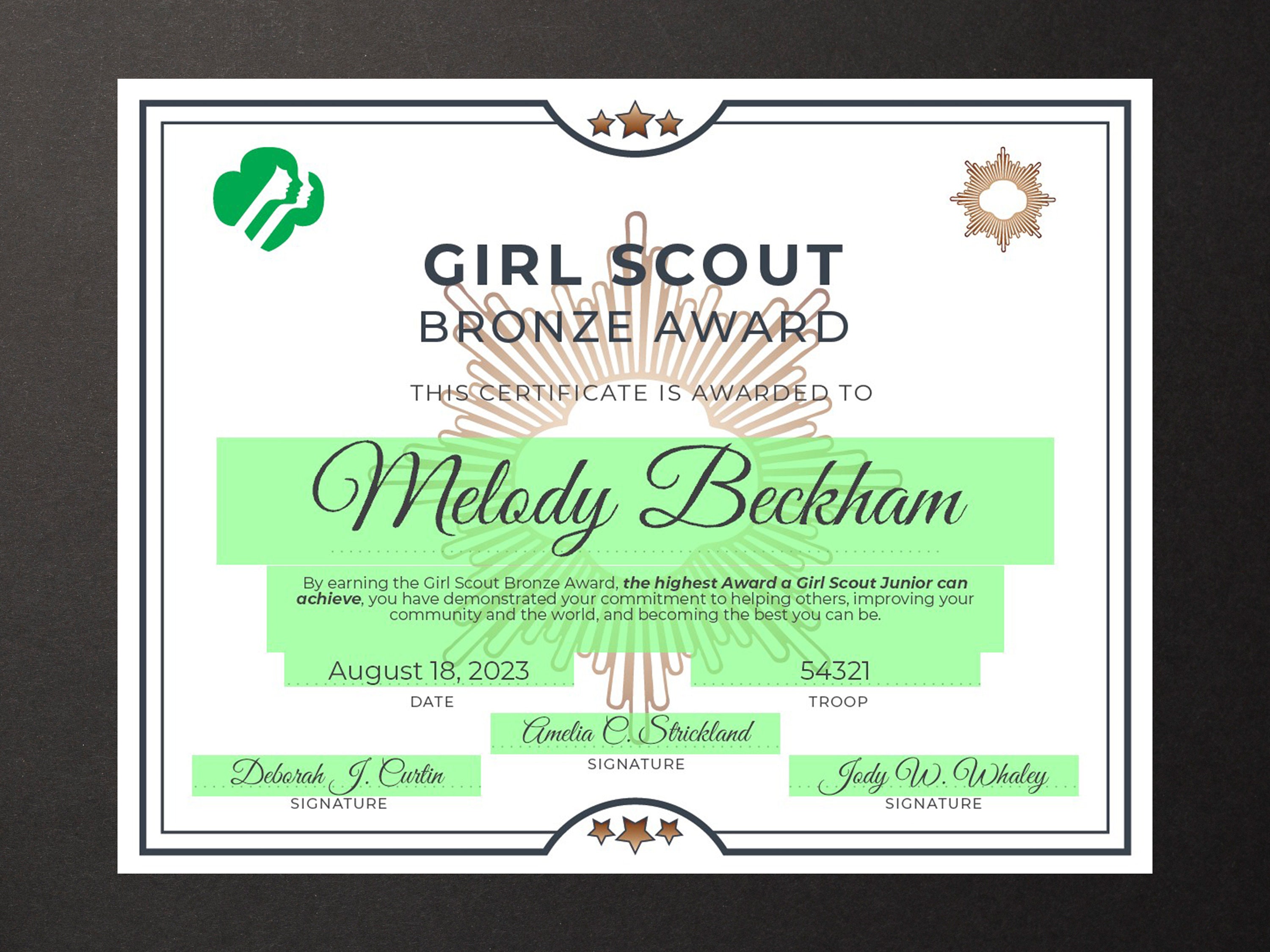 Girl Scout Bronze Award Certificate Printable PDF Template Etsy India