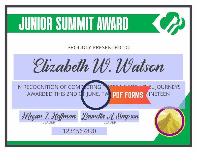 girl scout junior journey summit award requirements