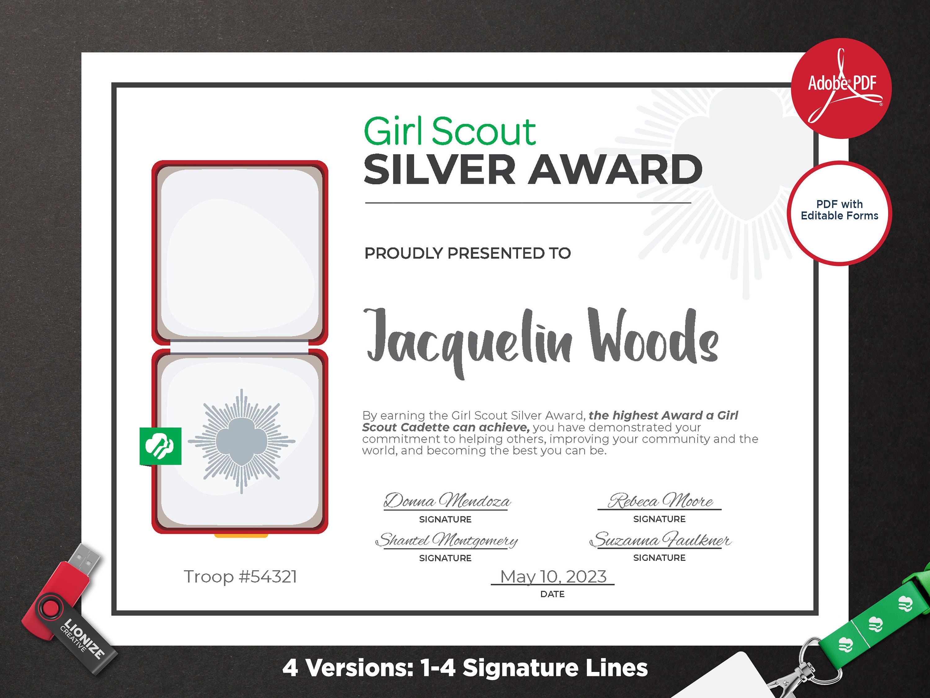 Girl Scout Silver Award Certificate Printable PDF Template Etsy India