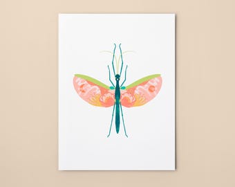 Stick insect (Marmessoidea Rosea) - Fine Art Print