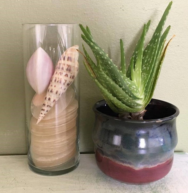 aloe planter Ceramic planter succulent pot drainage hole purple planter blue planter gray planter