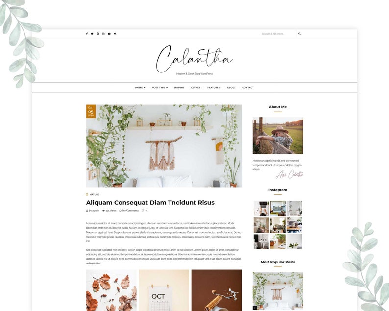 Calantha Wordpress Theme , Premade Templates, Responsive Blog Templates ...