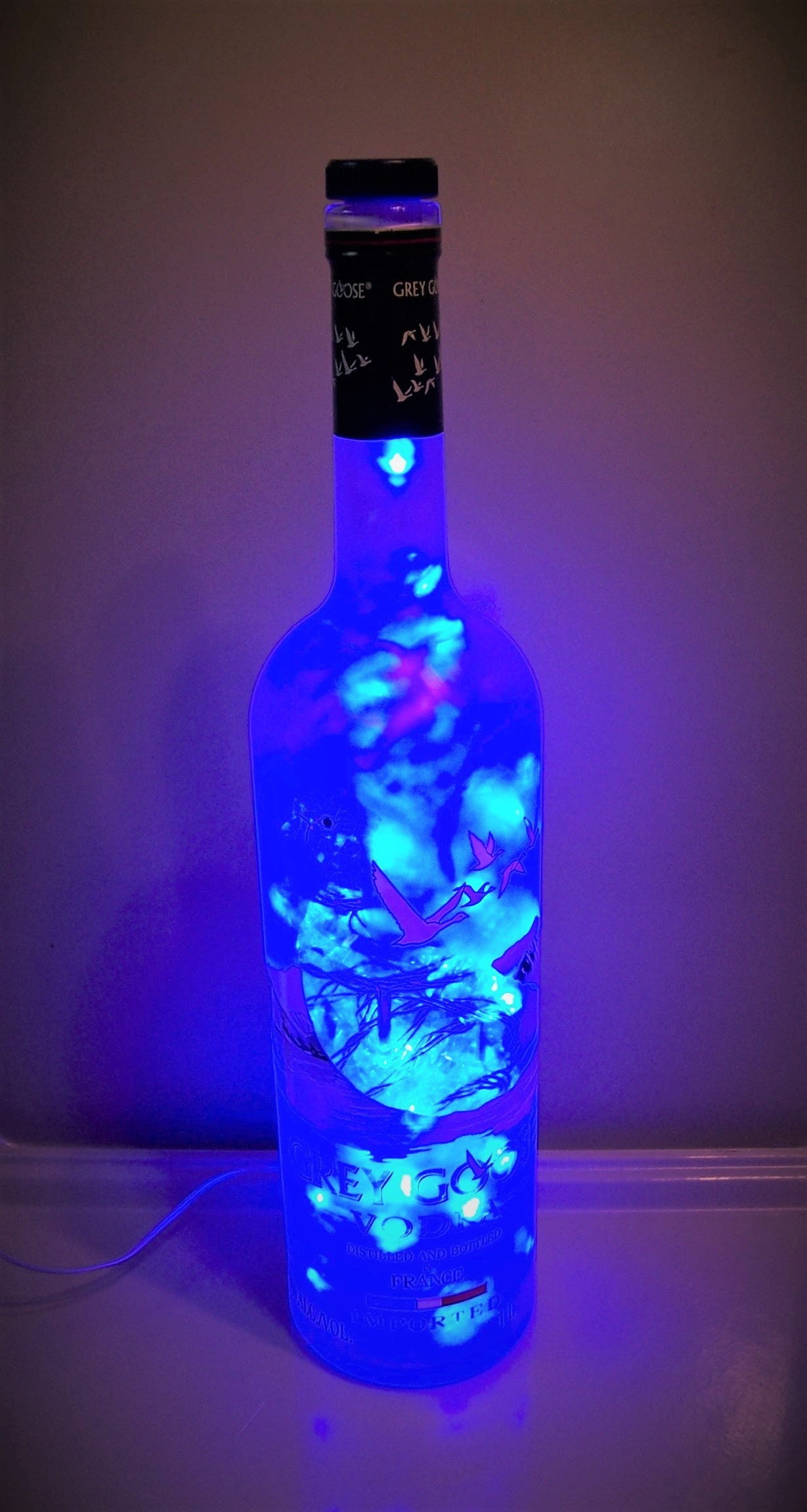 Grey Goose Vodka 1l Bottle Accent Light W 100 Blue Motion Leds Etsy France