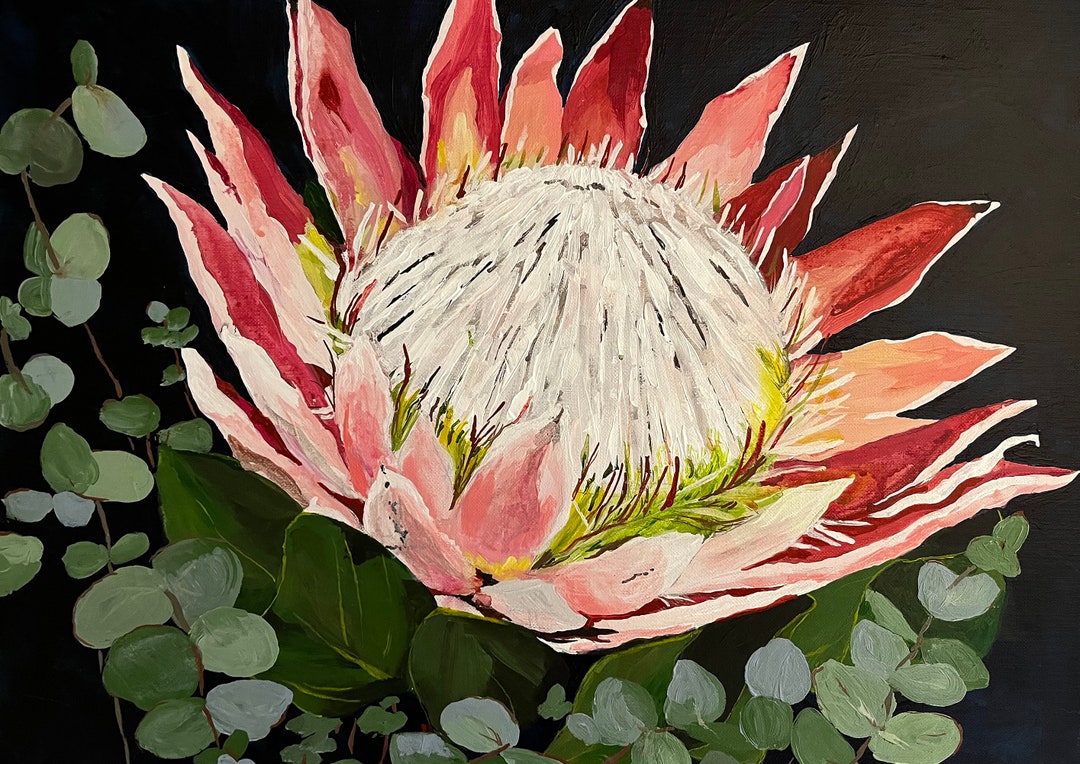 Protea Original Giclee Art Print Flower Art Floral Art Print Wall Art
