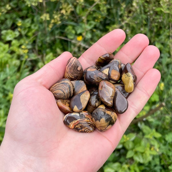 Autumn Leaf Jasper Tumbled Stone / Crystal Polished Healing Gemstone / Autumn Leaf Jasper Crystal / Metaphysical Rocks / Medium Tumblestones