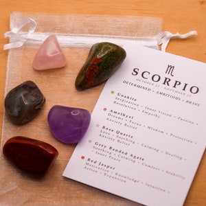 Scorpio Crystal Set // Zodiac Tumbled Stones Astrology Set Star Sign Crystal Kit Gemstones For Scorpios Gifts November Birthstone Minerals