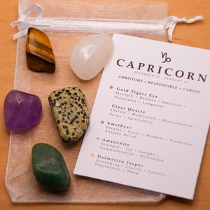 Capricorn Crystal Set // Zodiac Tumbled Stones Astrology Set Star Sign Crystal Kit Gemstones For Capricorn Gifts January Birthstone Minerals