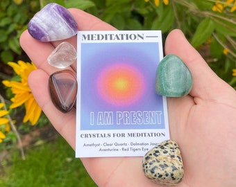 May include: A hand holding a set of five crystals for meditation. The crystals are amethyst, clear quartz, dalmatian jasper, aventurine, and red tiger's eye. The crystals are arranged on a card that says "Meditation - I Am Present - Crystals for Meditation".