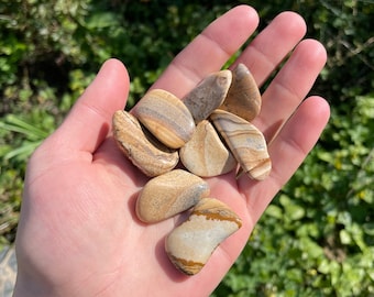 Picture Jasper Tumbled Stone / Crystal Polished Healing Gemstone / Picture Jasper Crystal / Metaphysical Rocks / Medium Tumblestones