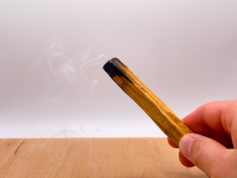May include: A smoldering stick of Palo Santo wood, emitting white smoke, held in a hand against a white background.
