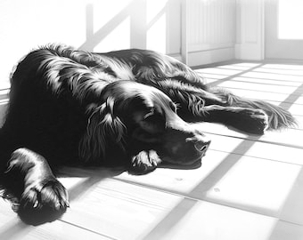Giclée Print of "Dog Tired III." Flat Coated Retriever Wall Art