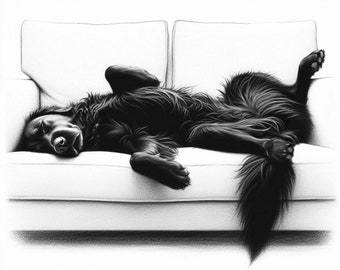 Giclée Print of "Dog Tired II." Flat Coated Retriever Wall Art