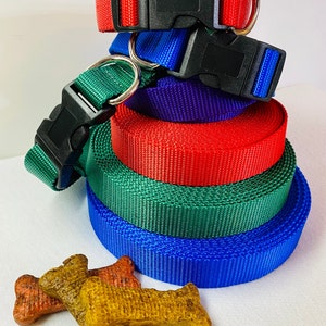Custom Made - Eclipse®Combination Collar,  Flea and Tick Combination Collar