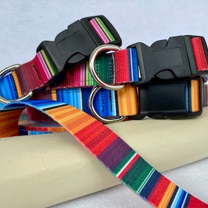 Custom Made Serape- Eclipse®Combination Collar,  Flea and Tick Combination Collar