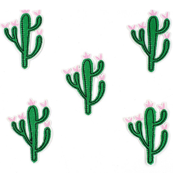 cactus jeans price