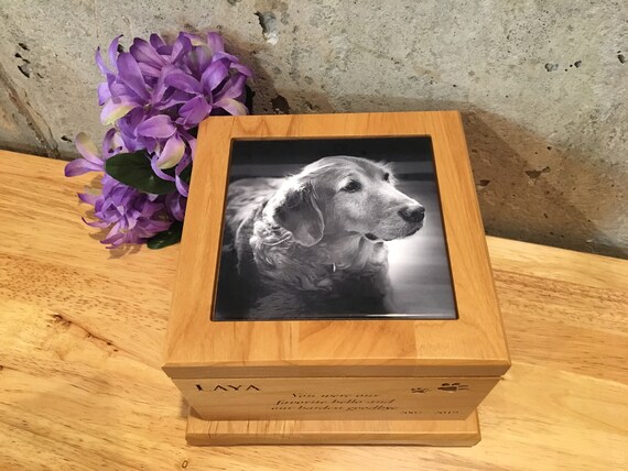 dog urn box