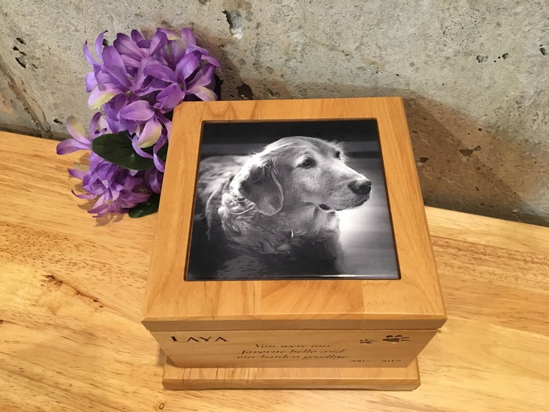 Pet Urn Cat Dog Wood Box Rainbow Bridge Poem Cremation Ashes Small Memorial Box Pet Memorials Urns Pet Supplies Worldenergy Ae
