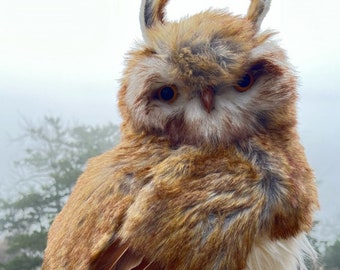 Barn owl, great big owl, faux owl, wreath owl