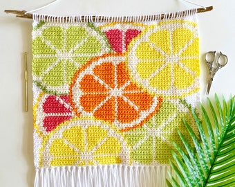 Crochet Pattern | The Citrus Dreams Wall Hanging | Wall Hanging Crochet Pattern | Fruit Crochet Pattern | Instant Download | PDF