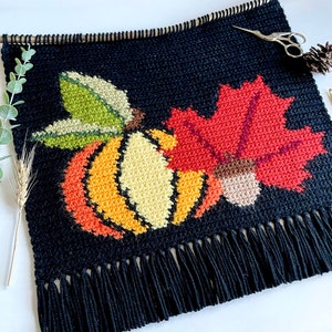 May include: A black crochet wall hanging featuring a pumpkin, leaf, and acorn design. The pumpkin is orange, yellow, and black, with a green leaf. A red leaf and acorn are also present. The bottom edge has a fringe.