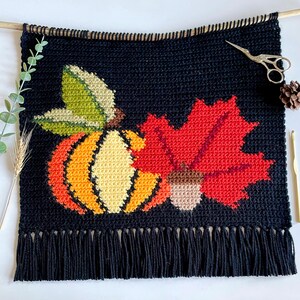 May include: Black crochet wall hanging with a fall theme. Features a pumpkin, maple leaf, and acorn in orange, yellow, green, and red. The bottom has a fringe. A wooden dowel and scissors are at the top.