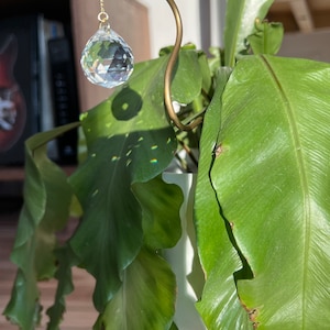 Suncatcher végétal, décor gribouillis, pieu de plante dintérieur image 4