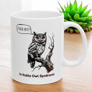 Puede incluir: Taza de cerámica blanca con una ilustración en blanco y negro de un búho posado en una rama. La taza tiene el texto "F**K OFF!" en un globo de diálogo sobre el búho y "Irritable Owl Syndrome" debajo del búho.