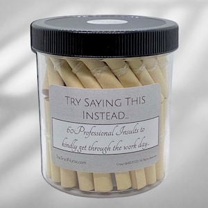 Professional Insults Affirmation Jar - Try Saying This Instead - Fun and Witty Affirmations for Work - Unique Gift for Office Humor