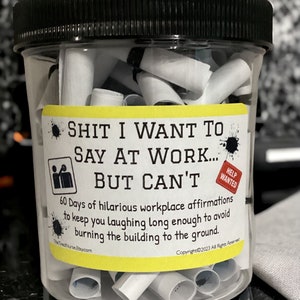 Funny Work Affirmation Jar - Shit I Want to Say at Work But Can't -Office Humor - Stress Relief - Coworker Gag Gift - 60 Hilarious Quotes